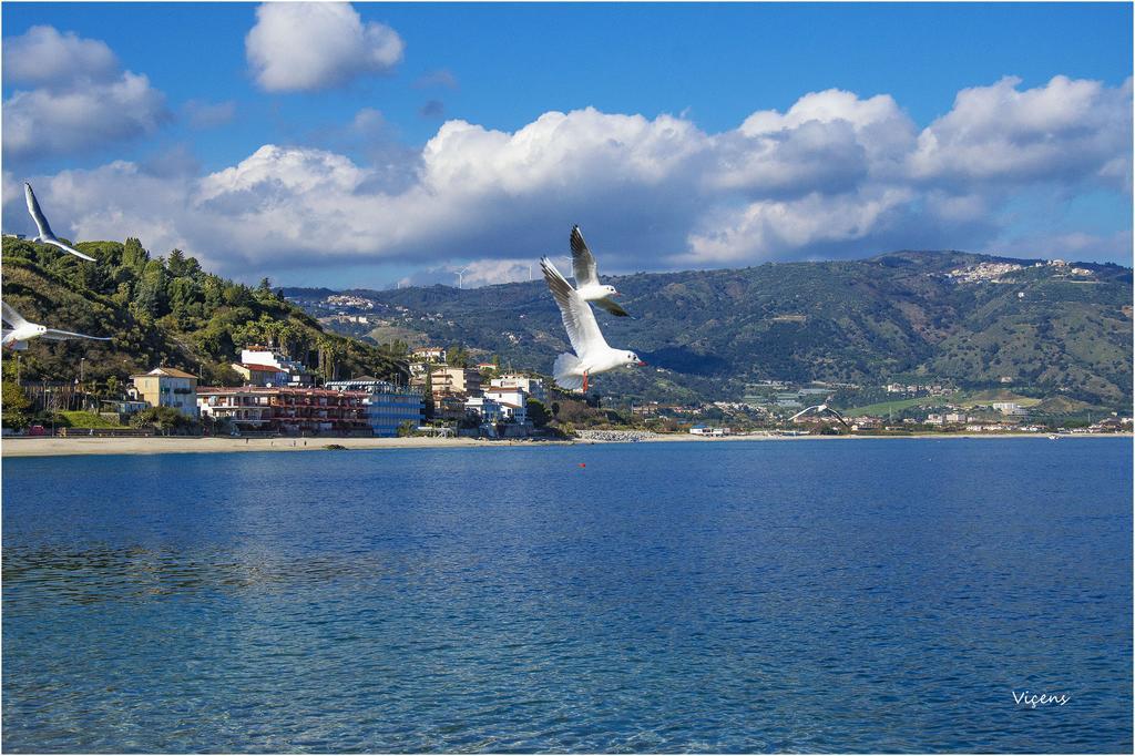 San Domenico Hotel ソヴェラート・マリーナ エクステリア 写真