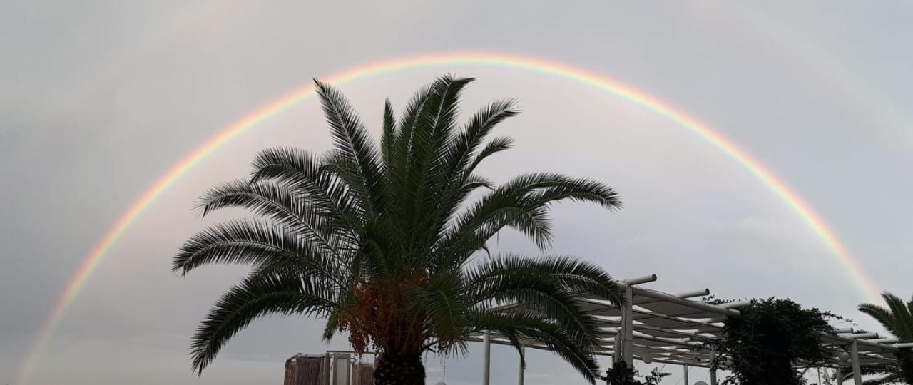 San Domenico Hotel ソヴェラート・マリーナ エクステリア 写真